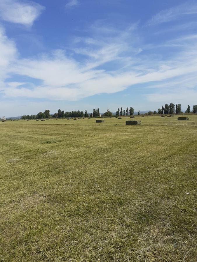 Petite Maison Dans La Campagne A 10 Mn A Pied Du Centre * Arlés